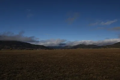 DSC_5781 (Large).JPG